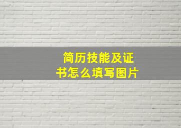 简历技能及证书怎么填写图片