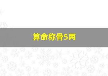 算命称骨5两