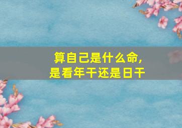 算自己是什么命,是看年干还是日干