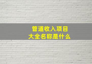 管道收入项目大全名称是什么