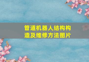 管道机器人结构构造及维修方法图片