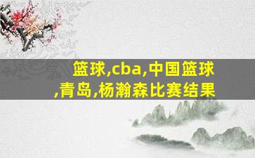 篮球,cba,中国篮球,青岛,杨瀚森比赛结果