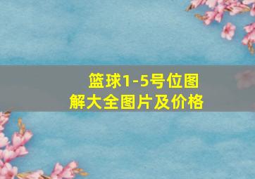 篮球1-5号位图解大全图片及价格