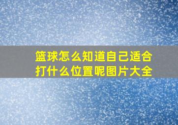 篮球怎么知道自己适合打什么位置呢图片大全