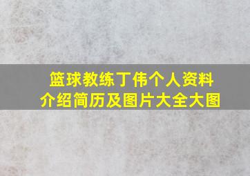 篮球教练丁伟个人资料介绍简历及图片大全大图