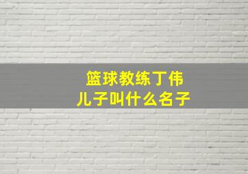 篮球教练丁伟儿子叫什么名子