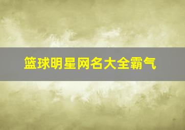 篮球明星网名大全霸气