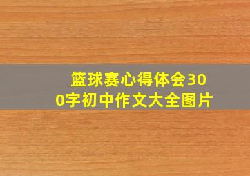 篮球赛心得体会300字初中作文大全图片