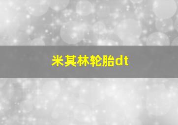 米其林轮胎dt