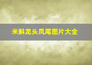 米斛龙头凤尾图片大全