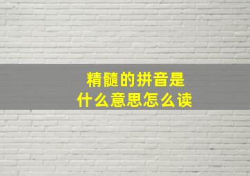 精髓的拼音是什么意思怎么读