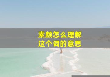 素颜怎么理解这个词的意思