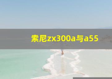 索尼zx300a与a55