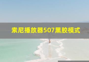 索尼播放器507黑胶模式