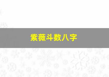 紫薇斗数八字