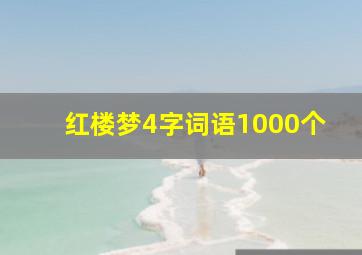 红楼梦4字词语1000个