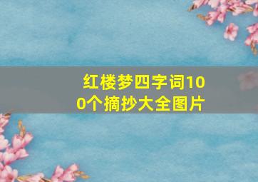 红楼梦四字词100个摘抄大全图片