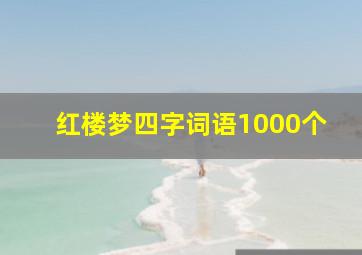 红楼梦四字词语1000个