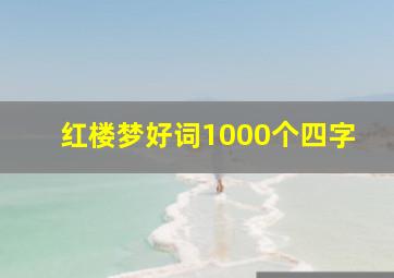 红楼梦好词1000个四字