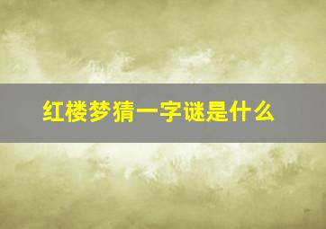 红楼梦猜一字谜是什么