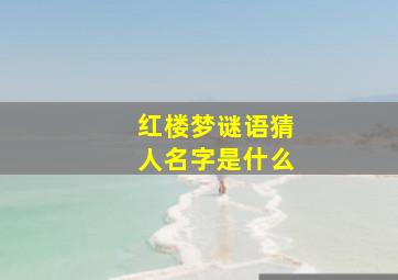 红楼梦谜语猜人名字是什么