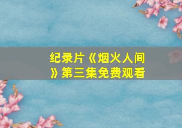 纪录片《烟火人间》第三集免费观看