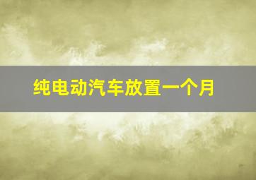 纯电动汽车放置一个月