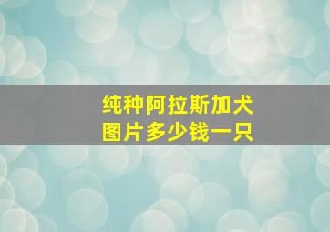 纯种阿拉斯加犬图片多少钱一只