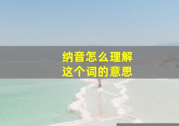 纳音怎么理解这个词的意思