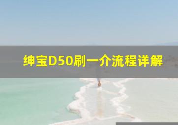 绅宝D50刷一介流程详解