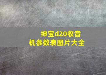 绅宝d20收音机参数表图片大全