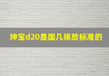 绅宝d20是国几排放标准的