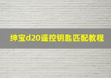 绅宝d20遥控钥匙匹配教程