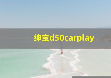 绅宝d50carplay