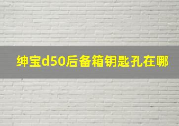 绅宝d50后备箱钥匙孔在哪