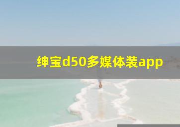 绅宝d50多媒体装app