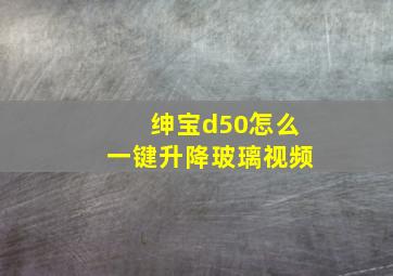 绅宝d50怎么一键升降玻璃视频