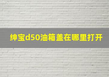 绅宝d50油箱盖在哪里打开