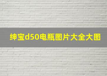 绅宝d50电瓶图片大全大图