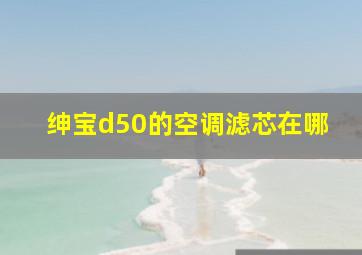 绅宝d50的空调滤芯在哪