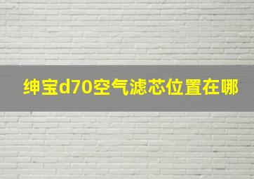 绅宝d70空气滤芯位置在哪