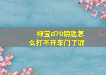 绅宝d70钥匙怎么打不开车门了呢