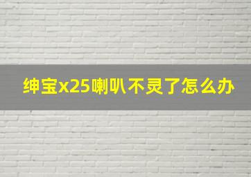 绅宝x25喇叭不灵了怎么办