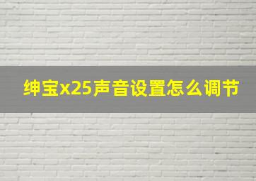 绅宝x25声音设置怎么调节