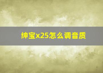 绅宝x25怎么调音质