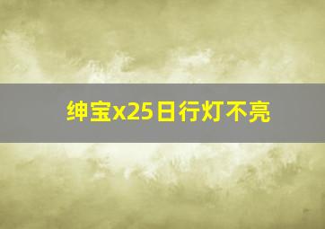 绅宝x25日行灯不亮