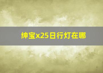 绅宝x25日行灯在哪