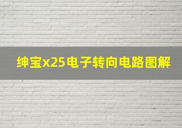 绅宝x25电子转向电路图解