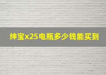 绅宝x25电瓶多少钱能买到