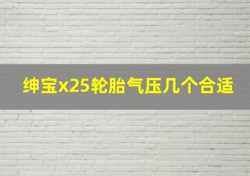 绅宝x25轮胎气压几个合适